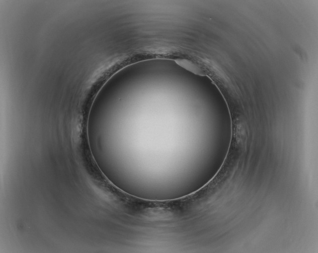 X0000114120544200910051513