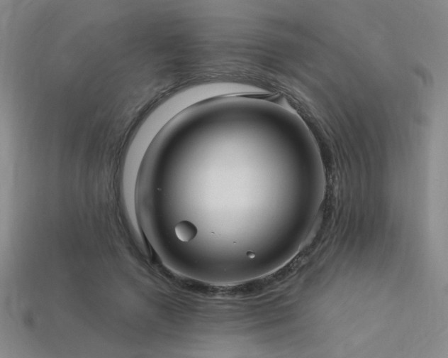 X0000114120546200910051513