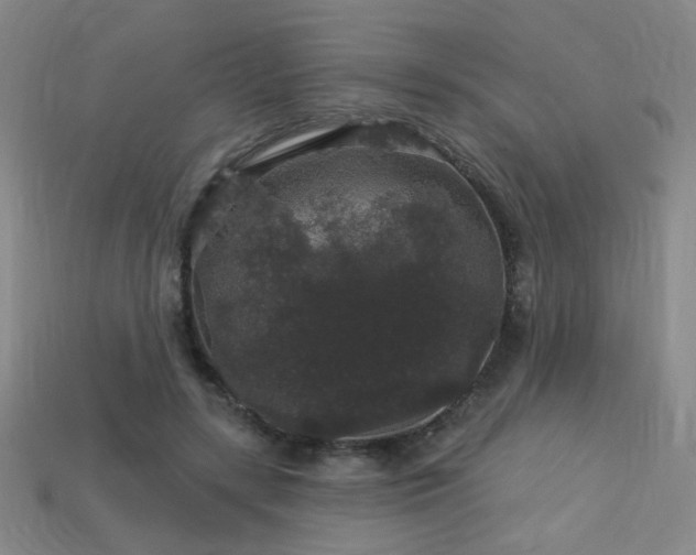 X0000114120547200910051513