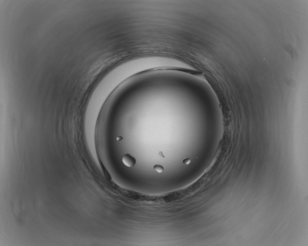 X0000114120548200910051513