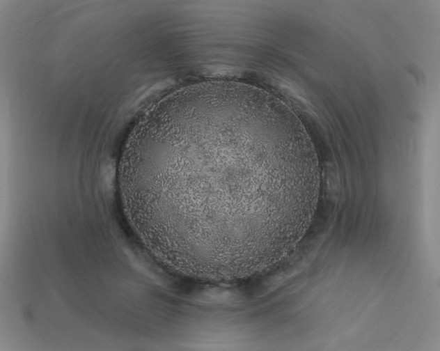 X0000114120550200910051513