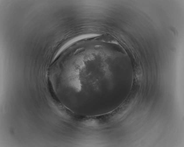 X0000114120551200910051513