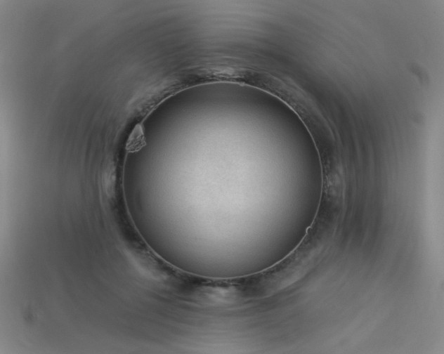 X0000114120552200910051513