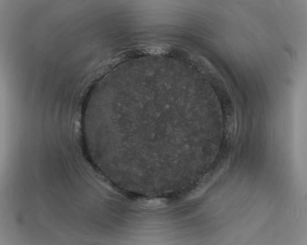 X0000114120553200910051513