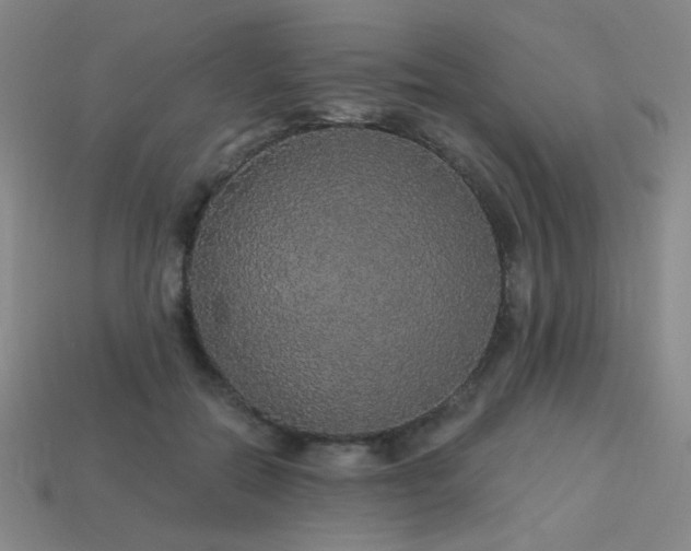 X0000114120554200910051513