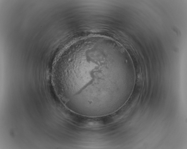 X0000114120555200910051513