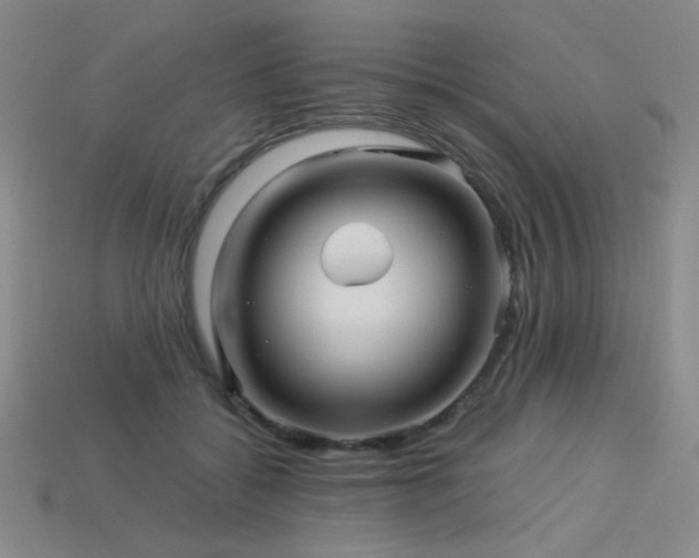 X0000114120556200910051513