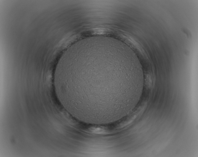 X0000114120557200910051513