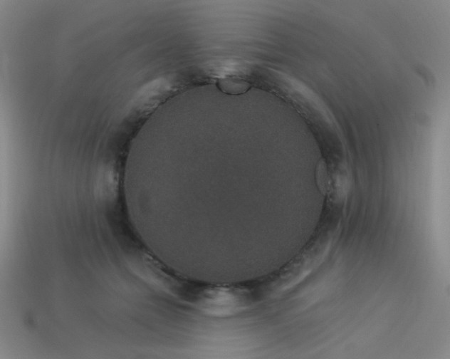 X0000114120558200910051513