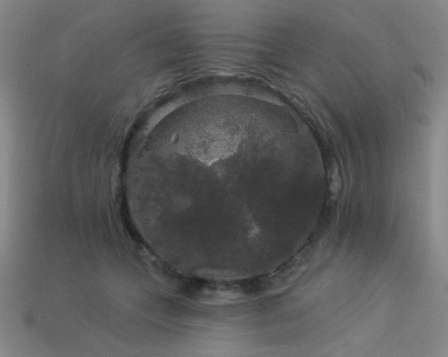 X0000114120559200910051513