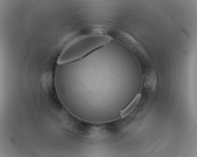 X0000114120560200910051513