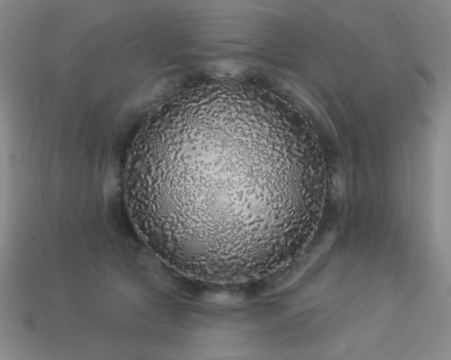 X0000114120561200910051513