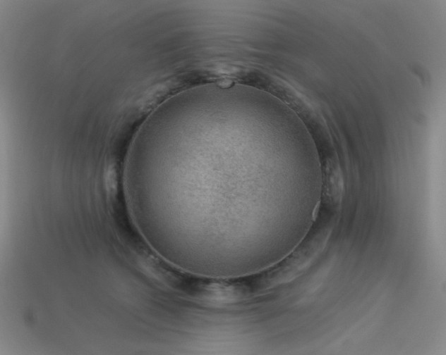 X0000114120562200910051513