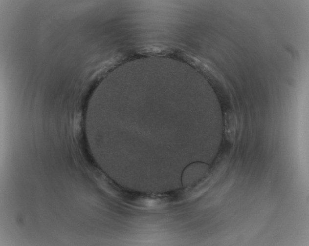 X0000114120563200910051513