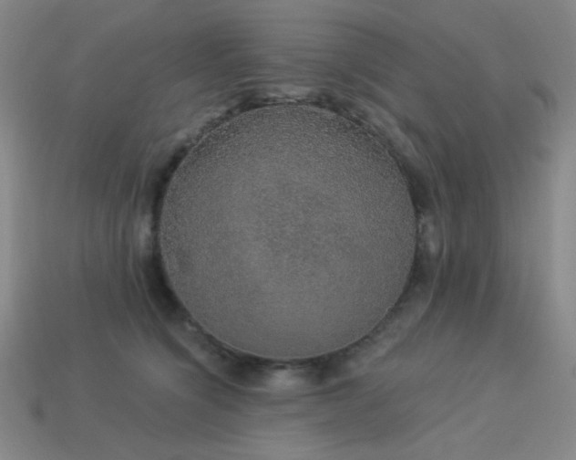 X0000114120564200910051513