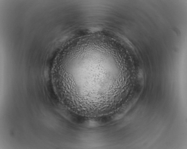 X0000114120565200910051513