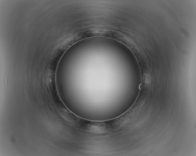 X0000114120567200910051513