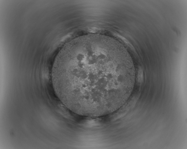 X0000114120569200910051513