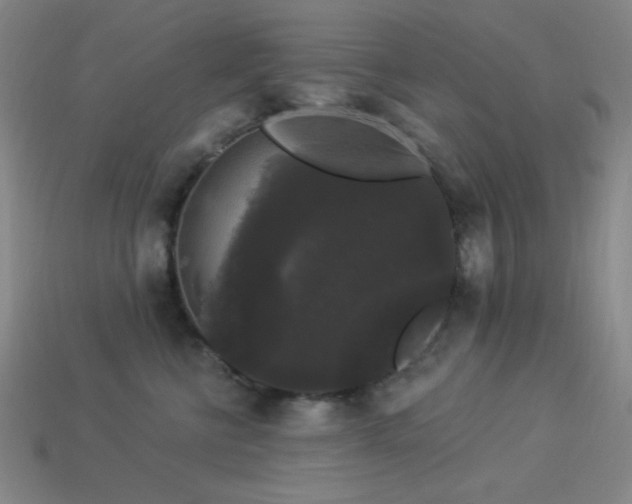 X0000114120570200910051513