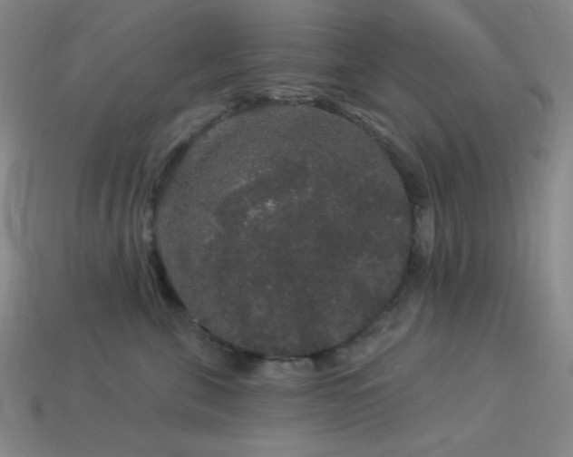 X0000114120571200910051513