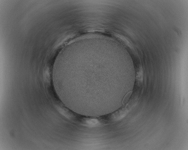 X0000114120572200910051513