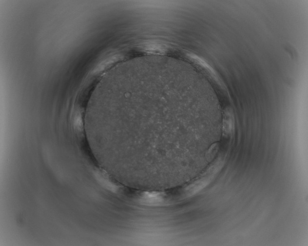 X0000114120573200910051513