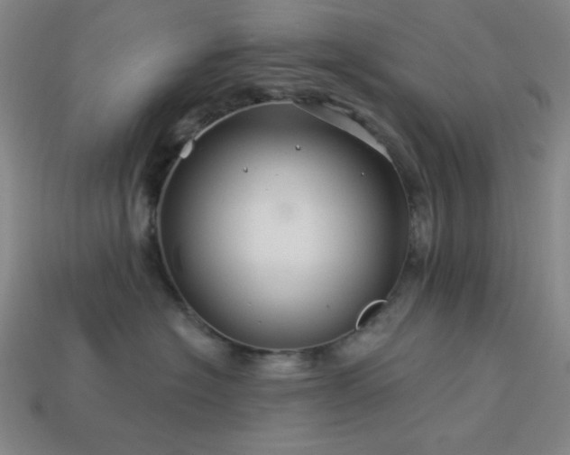 X0000114120574200910051513