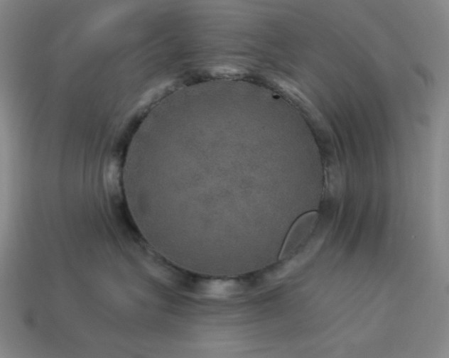 X0000114120575200910051513