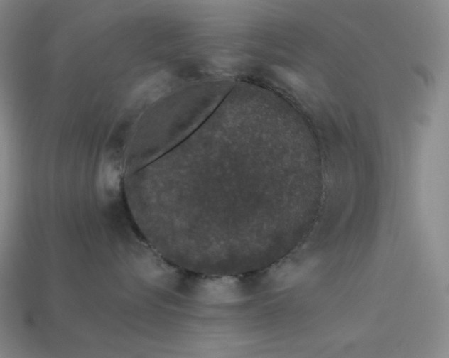 X0000114120576200910051513