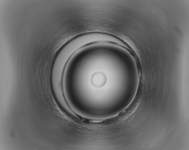 X0000114120577200910051512