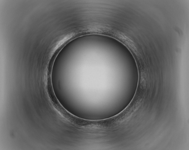 X0000114120578200910051512