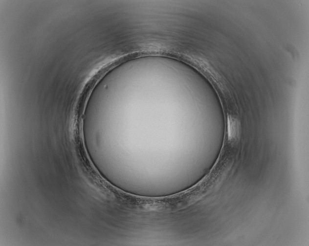 X0000114120579200910051512