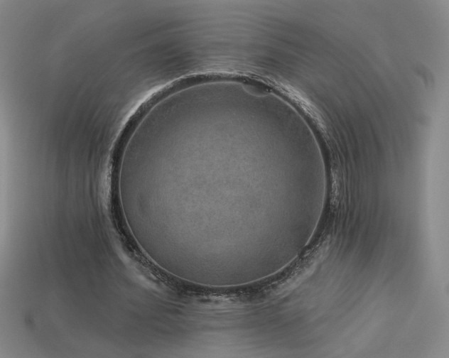 X0000114120580200910051512