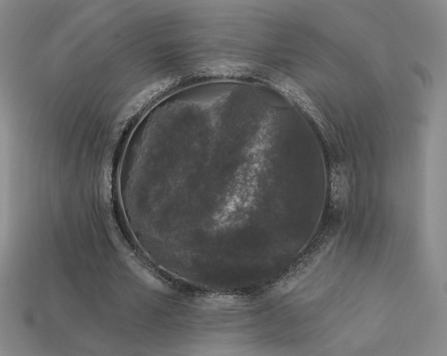 X0000114120581200910051512