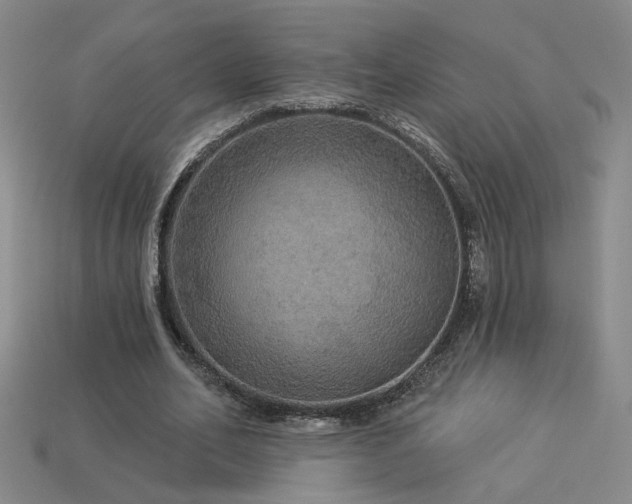 X0000114120582200910051512