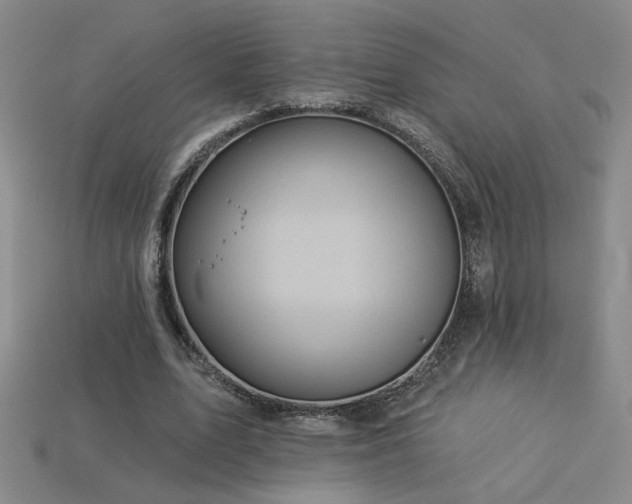 X0000114120583200910051512