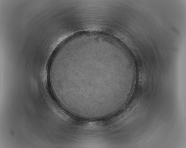 X0000114120584200910051512