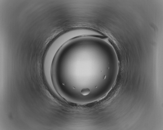 X0000114120585200910051512