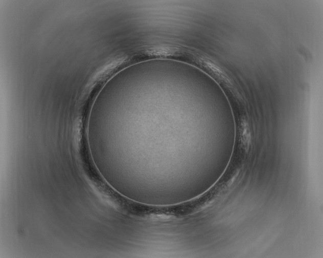 X0000114120586200910051512