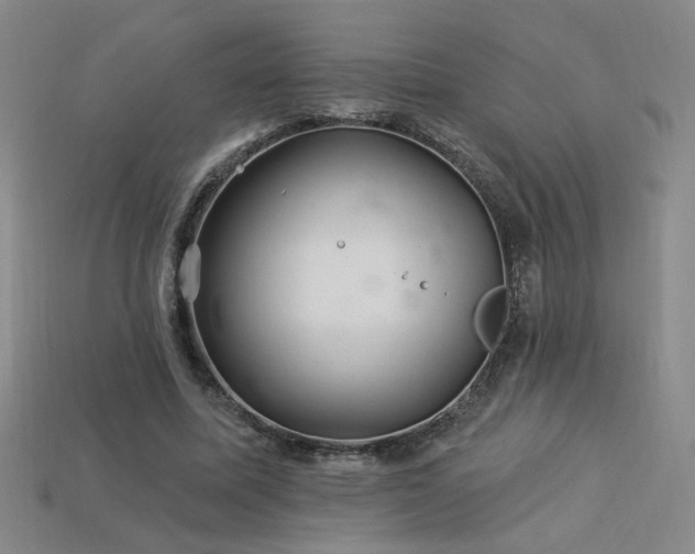 X0000114120587200910051512