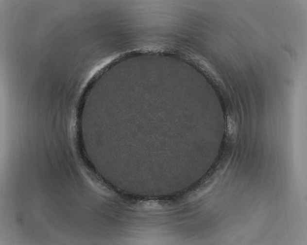 X0000114120588200910051512