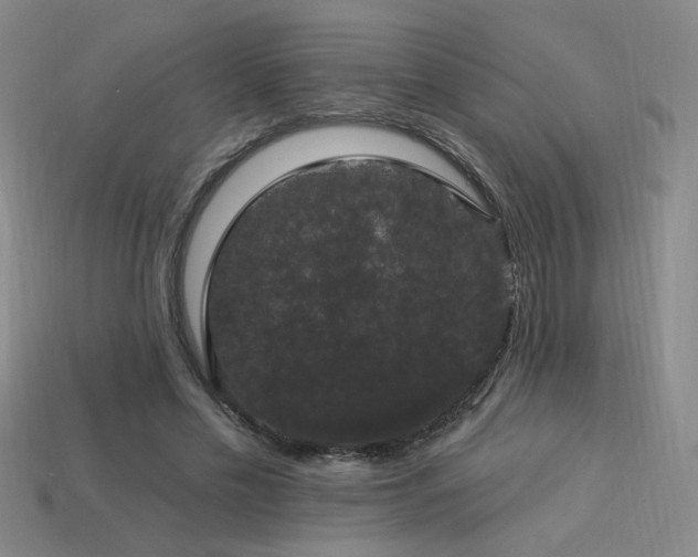 X0000114120589200910051512