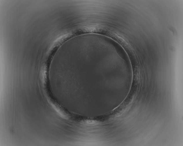 X0000114120590200910051512