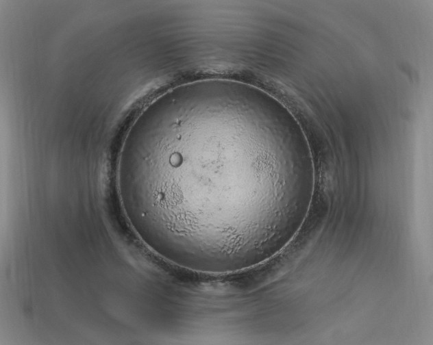 X0000114120591200910051512