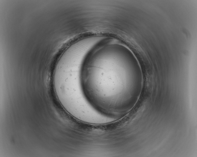 X0000114120592200910051512