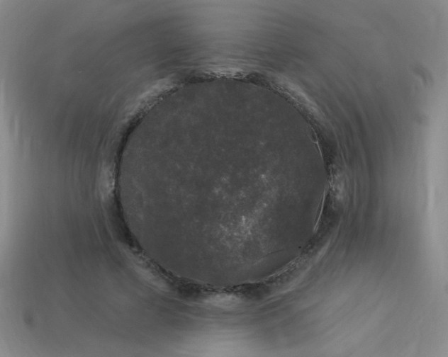 X0000114120593200910051512