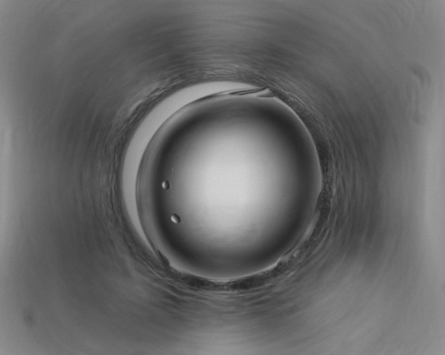 X0000114120595200910051512