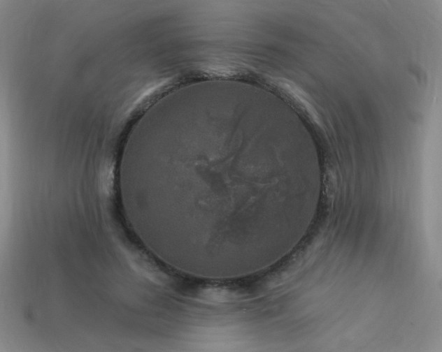 X0000114120596200910051512