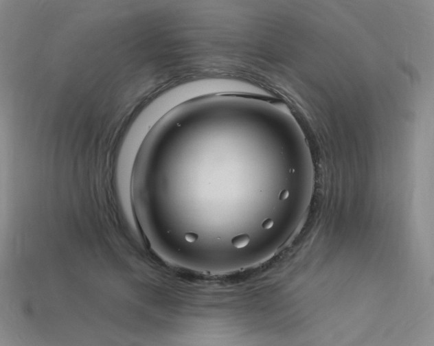 X0000114120597200910051512