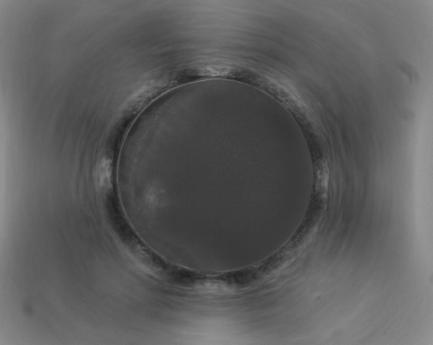 X0000114120598200910051512